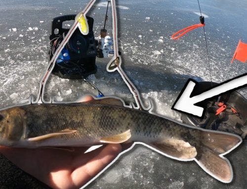 Early Ice Pike Fishing on Hidden Pond (MASSIVE BAIT)